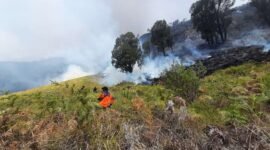 Upaya pemadaman dan monitoring karthula di Bukit Teletubies, kawasan wisata Taman Nasional Bromo Tengger Semeru, Jumat, 31/8/2023. (Dok. BPBD Kabupaten Probolinggo)
