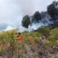 Upaya pemadaman dan monitoring karthula di Bukit Teletubies, kawasan wisata Taman Nasional Bromo Tengger Semeru, Jumat, 31/8/2023. (Dok. BPBD Kabupaten Probolinggo)
