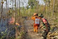Kebakaran hutan dan lahan yang melanda Kabupaten Sragen. (Dok. BPBD Kabupaten Sragen) 
