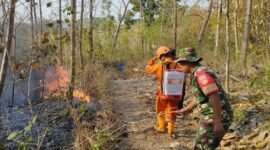 Kebakaran hutan dan lahan yang melanda Kabupaten Sragen. (Dok. BPBD Kabupaten Sragen) 
