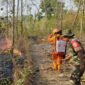 Kebakaran hutan dan lahan yang melanda Kabupaten Sragen. (Dok. BPBD Kabupaten Sragen) 
