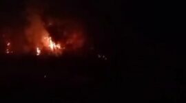 Aparat Masih Selidiki 10 Hektar Lahan yang Terbakar di Kecamatan Meral Barat, Kabupaten Karimun, Riau