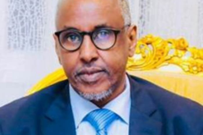 Menteri Perminyakan dan Sumber Daya Mineral Somalia Abdirizak Mohamed. (Dok. Adipec.com)
