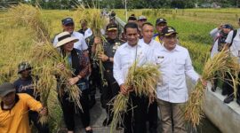 Titiek Soeharto Semprot Bulog Tak Mampu Serap Gabah Sesuai Harga Pemerintah dengan  Rp6500