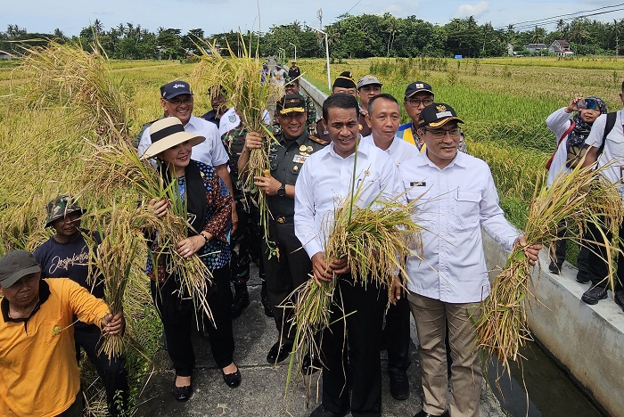 Ketua Komisi IV DPR RI, Titiek Soeharto saat meninjau jalanya panen raya bersama Menteri Pertanian Andi Amran Sulaiman di Kabupaten Bantul. (Dok. Kementerian Pertanian)