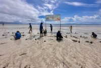 Penanaman 100 bibit mangrove di pesisir Soop jadi langkah awal jaga abrasi dan serap karbon. (Dok. Pertamina EP Papua Field)