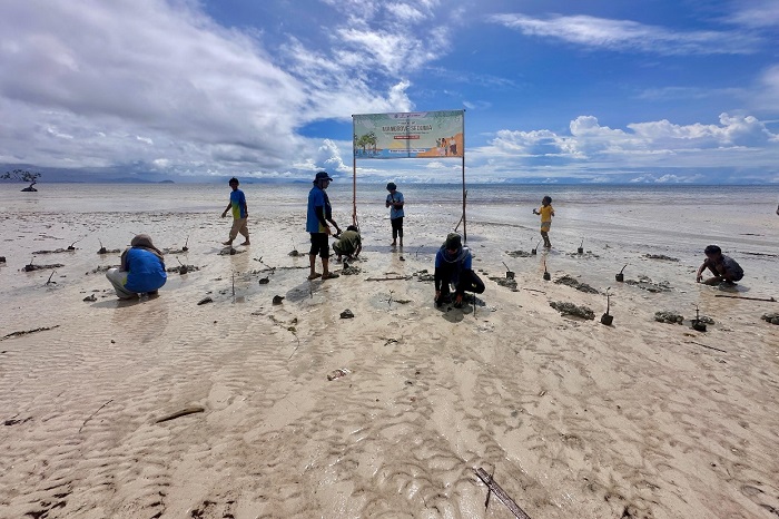 Penanaman 100 bibit mangrove di pesisir Soop jadi langkah awal jaga abrasi dan serap karbon. (Dok. Pertamina EP Papua Field)