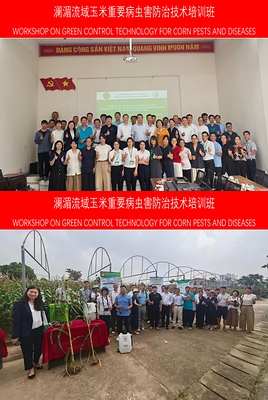CCTV+: Lokakarya Teknologi yang Ramah Lingkungan untuk Pengendalian Hama dan Penyakit Jagung di DAS Lancang-Mekong Digelar di Hanoi, Vietnam CCTV+: Lokakarya Teknologi yang Ramah Lingkungan untuk Pengendalian Hama dan Penyakit Jagung di DAS Lancang-Mekong Digelar di Hanoi, Vietnam